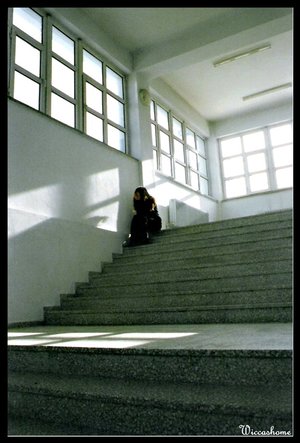 8066720.jpg